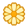 :$(菊花)